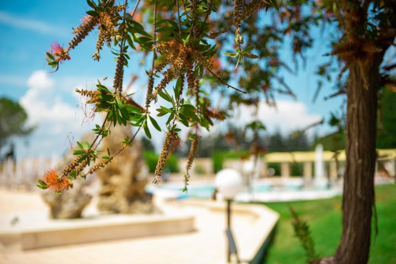 Villa Conca Marco Torre dell'Orso Exteriér fotografie